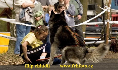Polsko 2005 - 729.jpg